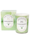 Concentration - Bougie Fragrance Menthe et Collier Doré Aventurine