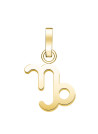 Charm Rosefield "Pendant Gold Zodiac Symbol Capricorn"