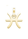 Charm Rosefield "Pendant Gold Zodiac Symbol Pisces"