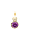 Charm Rosefield "Pendant Gold Birthstone February"