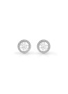 Boucles d'oreilles Guess "Studs Party" Acier rhodié