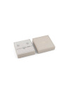 Coffret bracelet et puces Guess "Lovely Guess" Acier rhodié cœurs