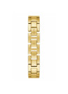 Montre Guess G Cluster - GW0545L2