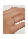 PDPAOLA Bague en argent - Spiral - AN02-804