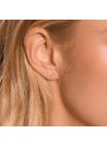 Boucles d'oreilles Or Blanc et Diamant