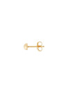 Boucles d'oreilles Or Jaune 375/1000