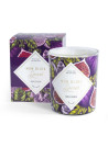 Bougie Bijou parfumée aux huiles figuiers