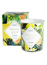 Bougie Bijou parfumée - Zeste d'agrumes marque mes bijou secret