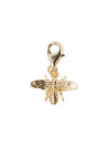 Clips Mellonia