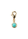 Clips Auxence Turquoise