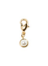 Clips Perle Augustine