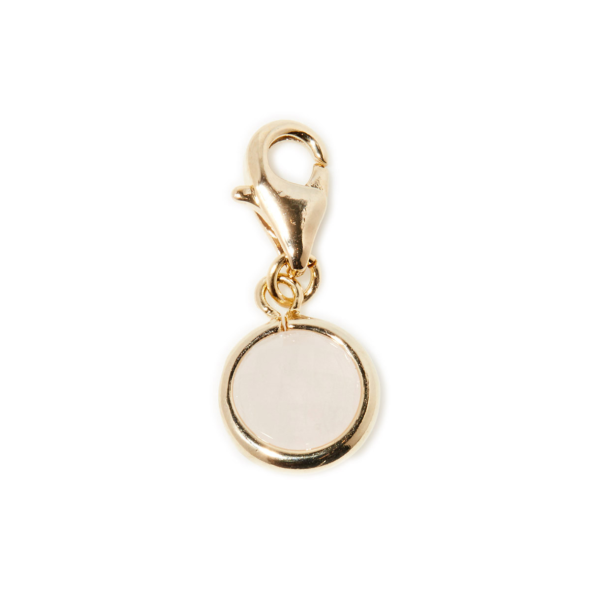 Clips Arsene Amazonite Charm's Arsene Amazonite