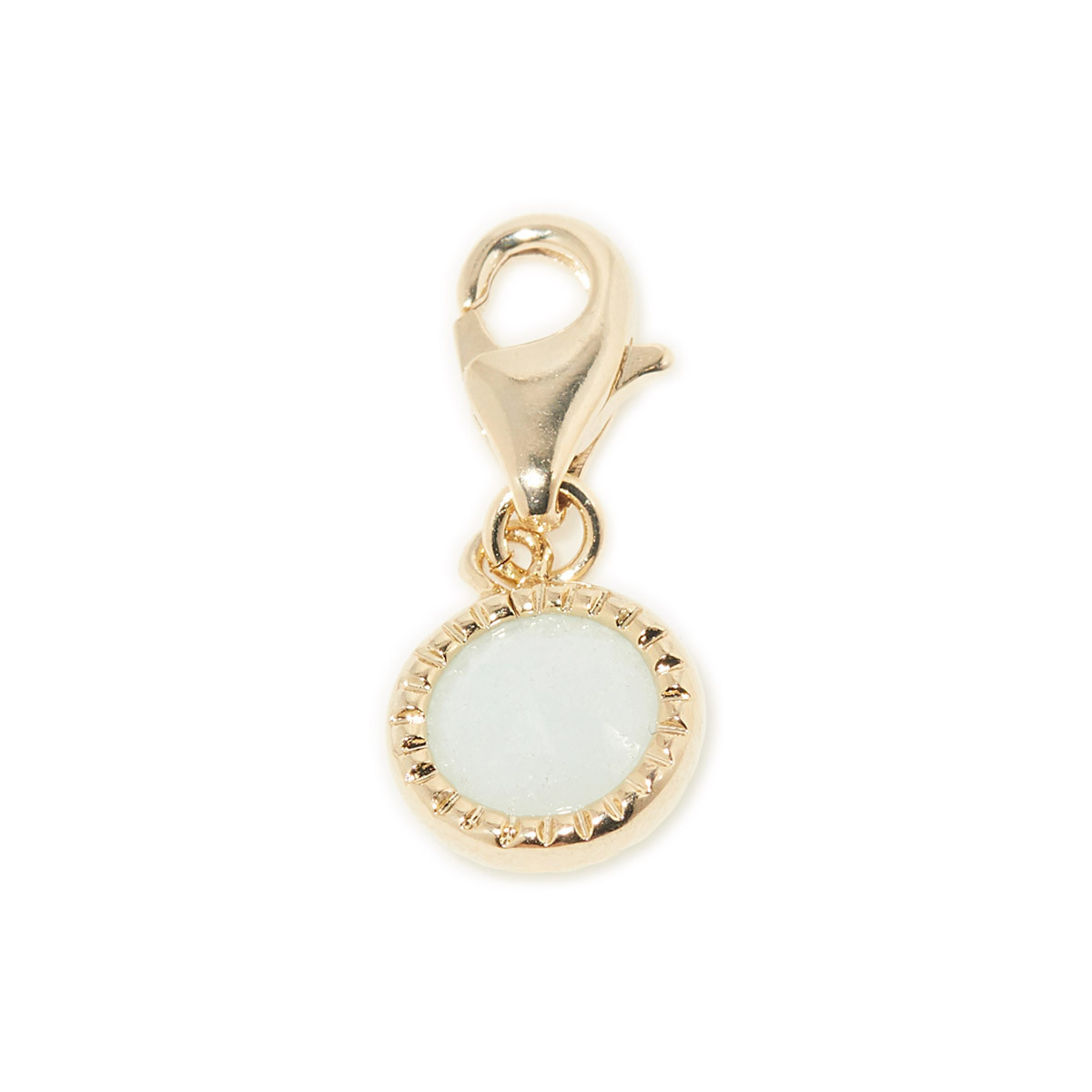 Clips Asia Amazonite Charm's Asia Amazonite