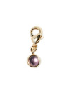 Clips Auxence Amethyste