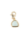 Clips Ambre Amazonite