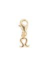 Clip Artémis Lion