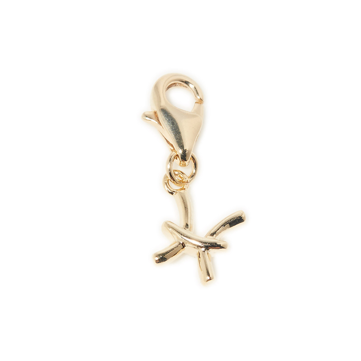 Charm's Artémis Poisson