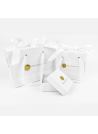Boucles d'oreilles or blanc et oxydes de zirconium "Precious"
