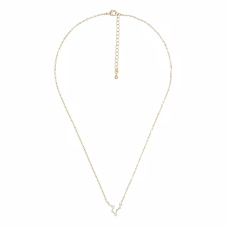 Collier constellation Poisson