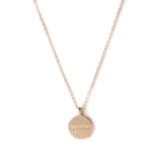 Collier médaille constellation Verseau
